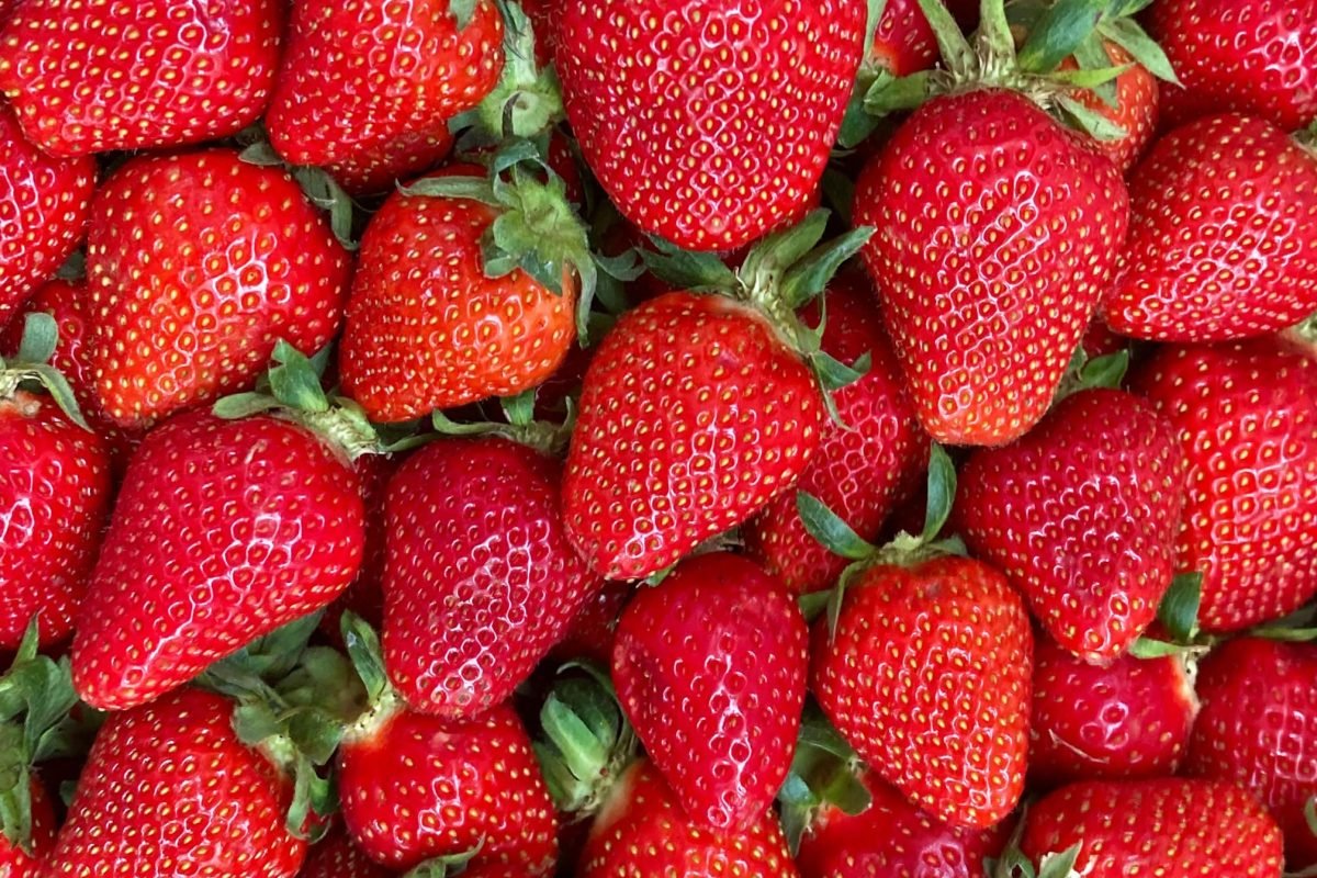 frutería en El Ejido, Frutería Encarna